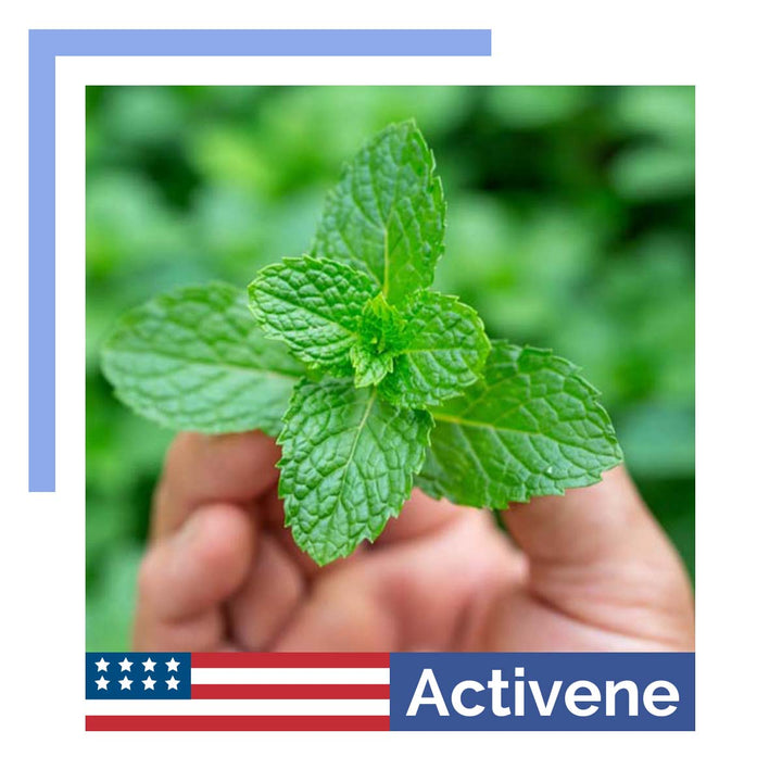 Embracing Menthol's Soothing Benefits: Activene Arnica Cream